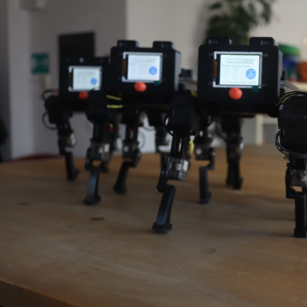 Robotics Control